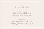 Ergosy Font