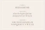 Ergosy Font