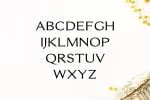 Erynn Font