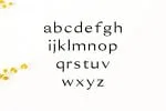 Erynn Font