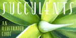 Esencia Font