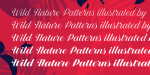 Estampa Script Font