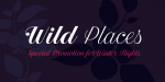 Estampa Script Font