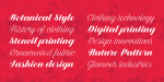 Estampa Script Font