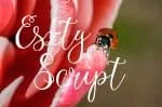 Eszty Font