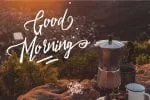Evelyne Script Font