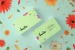 Everest Modern Beauty Font