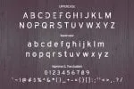 Exclude Font