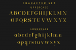 Exclusive Serif Font