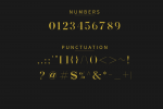 Exclusive Serif Font