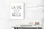 Exco Sans Font
