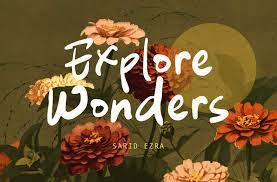Explore Wanders - Bold Handwritten Font