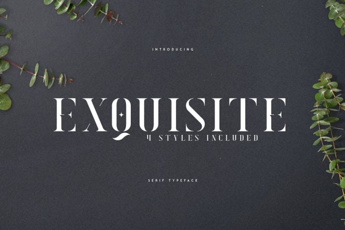 Exquisite - Serif Typeface 4 Styles
