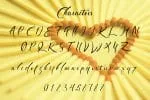 Exquisite Typeface
