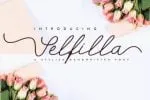 Selfilla Font