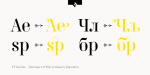 FF Carina Font Family Font