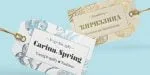 FF Carina Font Family Font