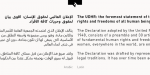 FF DIN Arabic Font