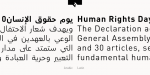 FF DIN Arabic Font