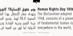 FF DIN Arabic Font
