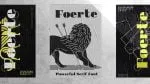 FOERTE - Serif Accent Font