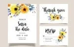 Fabiana Script Font