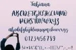 Fabiana Script Font