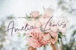 Fabinache Font