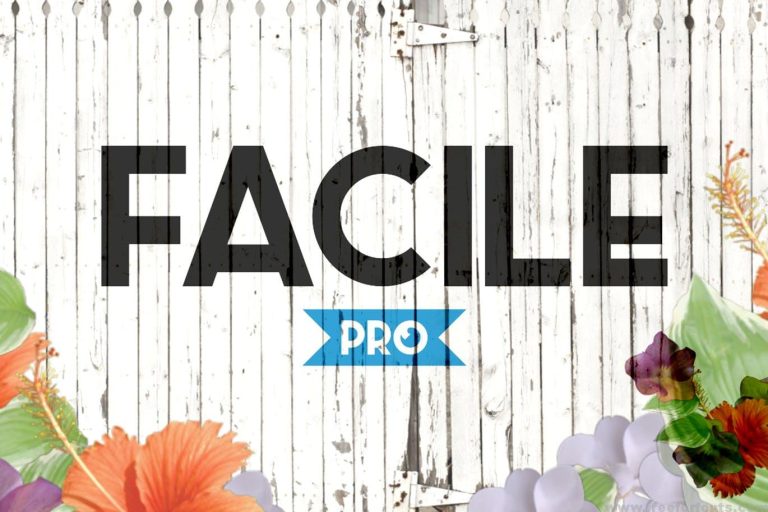 Facile Pro Font Free Download