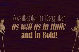 Falkin Serif Font