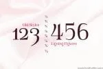 Famosa Joyful Elegance Font
