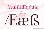 Famosa Joyful Elegance Font