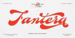 Fantera Groovy Script font