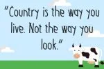 Farm Nary Font