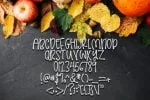 Farmers Daughter Font