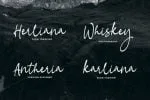 Fasha Script Font