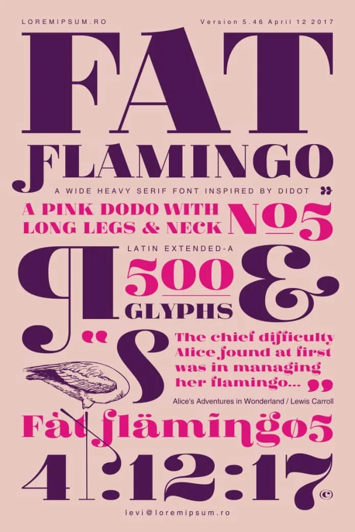 Fat Flamingo5 Family Font