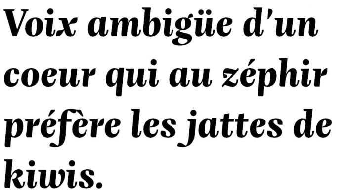 Fayon Pro family Font