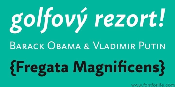 Fazeta Sans Font