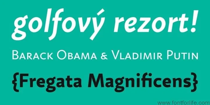 Fazeta Sans Font