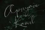 Feallici Script Font