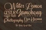 Feisty Font
