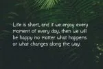 Felicitous Way Font
