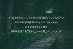 Felicitous Way Font