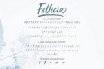 Fellicia Font