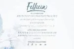 Fellicia Font