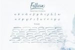 Fellicia Font