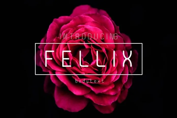 Fellix Sans Serif Fonts