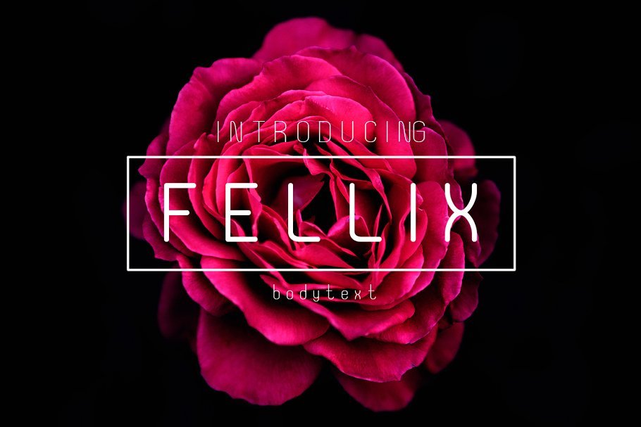 Fellix Sans Serif Fonts Fellix Sans Serif Fonts