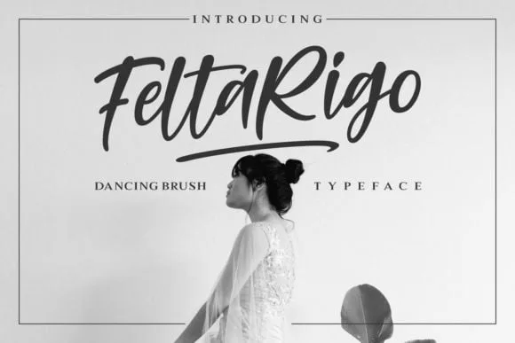 Feltarigo Brush Font